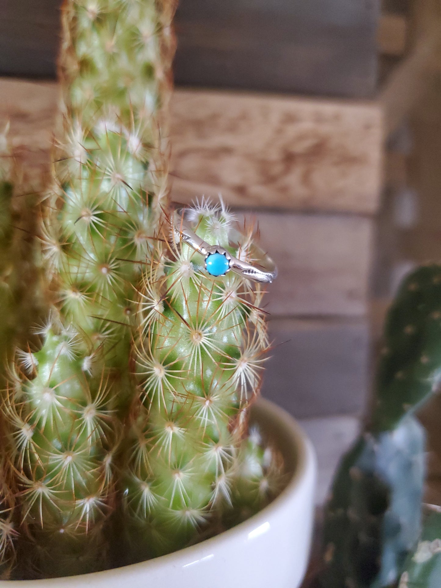 Dainty Turquoise Ring